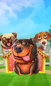The Dog House
